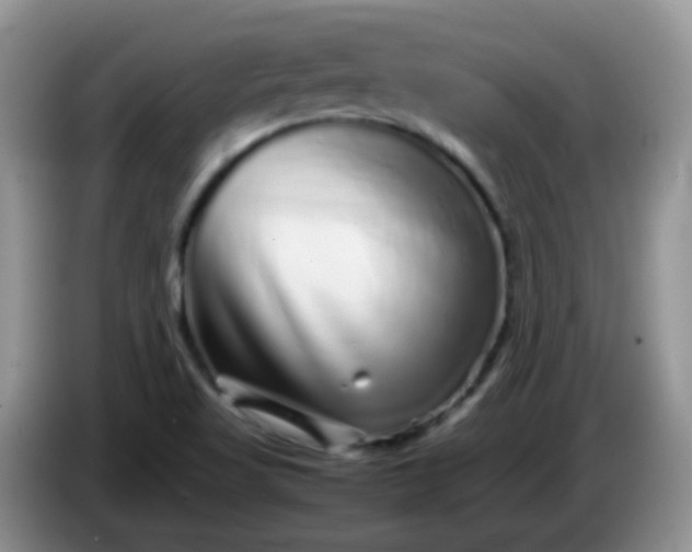 X0000086261509200704122001
