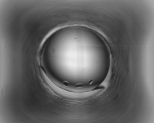 X0000086261510200704122001