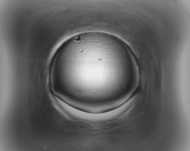 X0000086261511200704122001