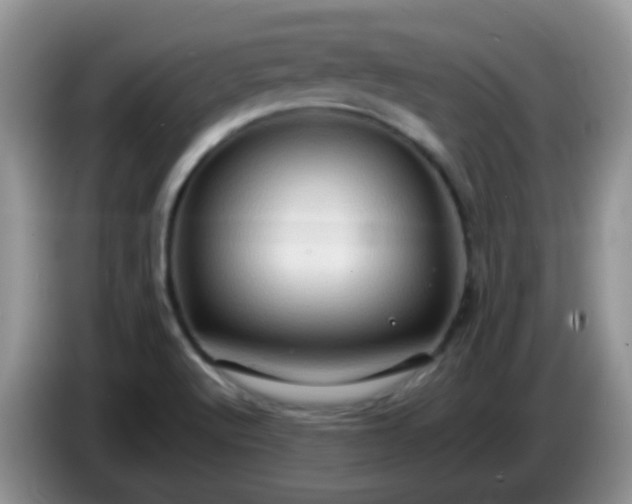 X0000086261512200704122001