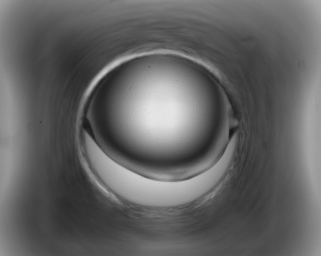 X0000086261518200704122001