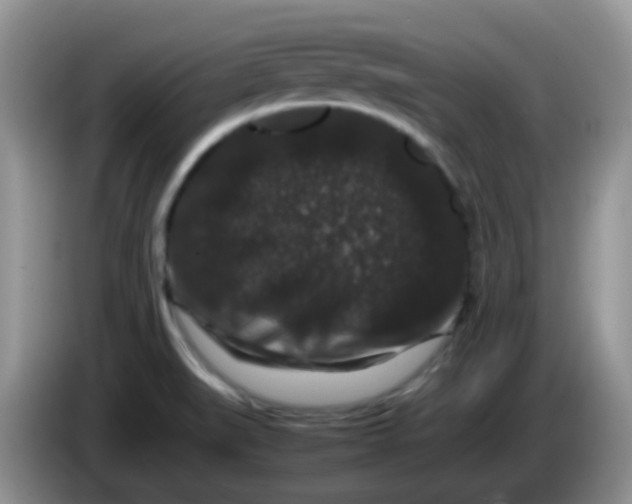 X0000086261519200704122001