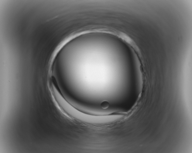 X0000086261520200704122001