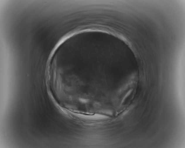 X0000086261522200704122001