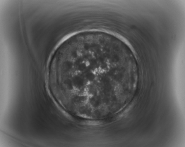 X0000086261525200704122001