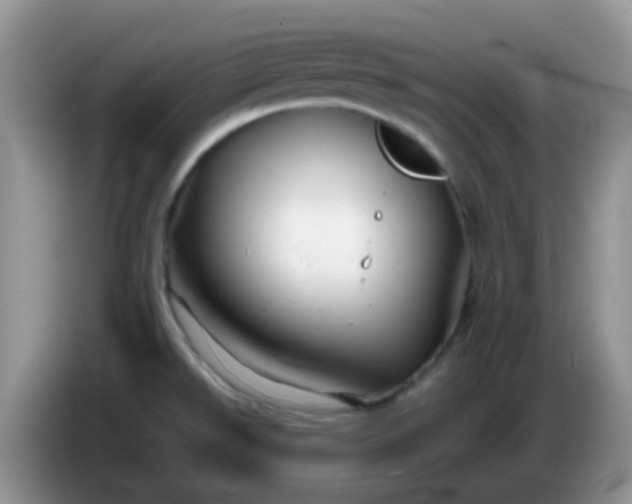 X0000086261526200704122001