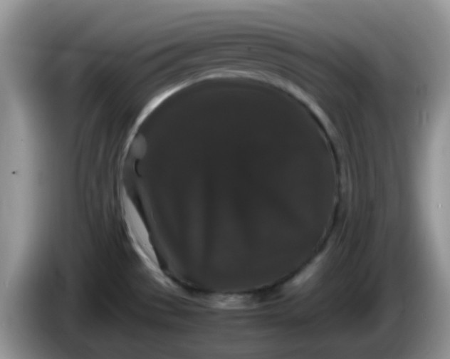X0000086261529200704122001