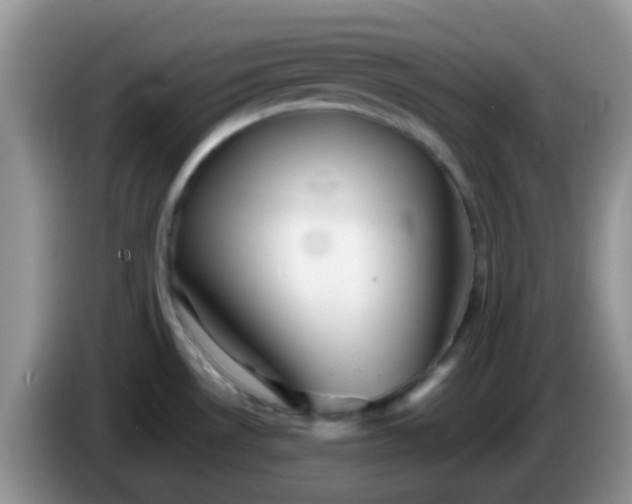 X0000086261530200704122001
