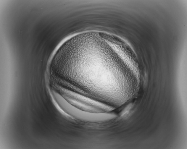 X0000086261531200704122001
