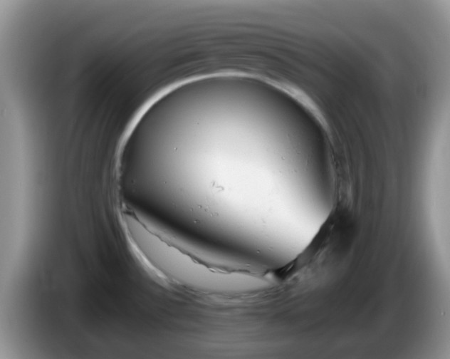 X0000086261532200704122001