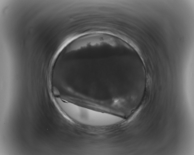 X0000086261533200704122001