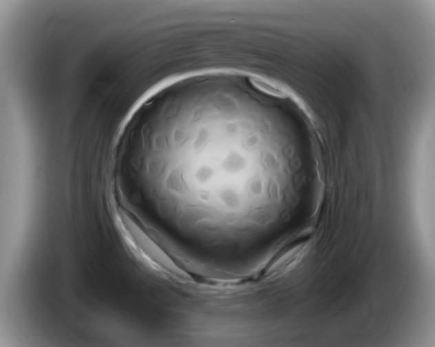 X0000086261534200704122001