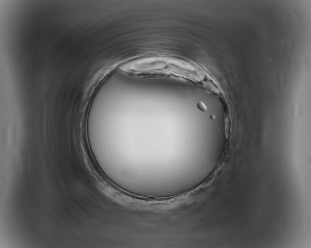 X0000086260001200704191913