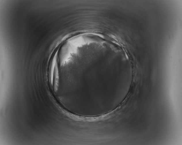 X0000086260002200704191913