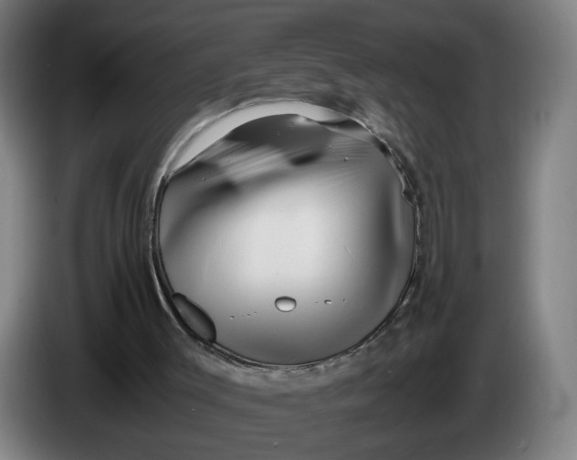 X0000086260003200704191913
