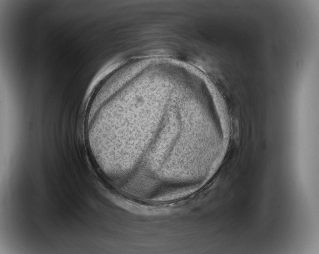 X0000086260004200704191913