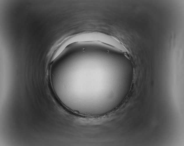 X0000086260005200704191913