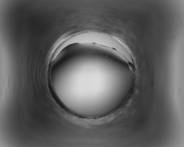 X0000086260007200704191913