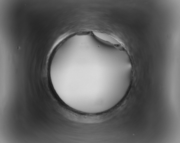 X0000086260008200704191913