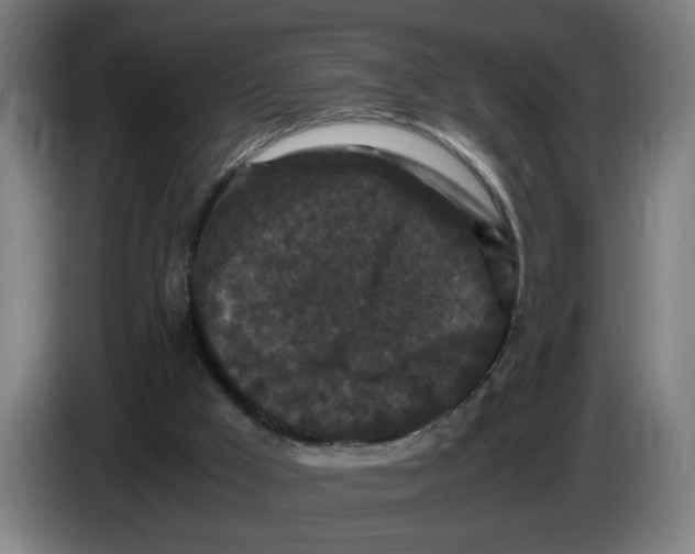 X0000086260009200704191913