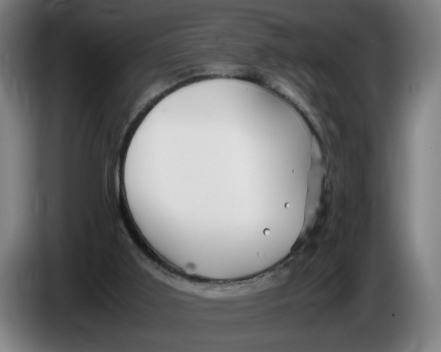 X0000086260011200704191913