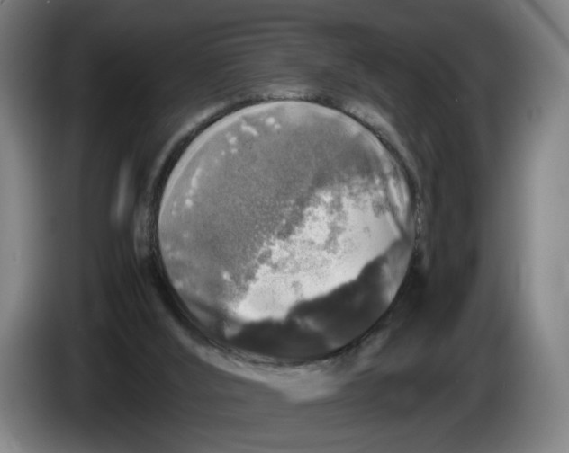 X0000086260012200704191913