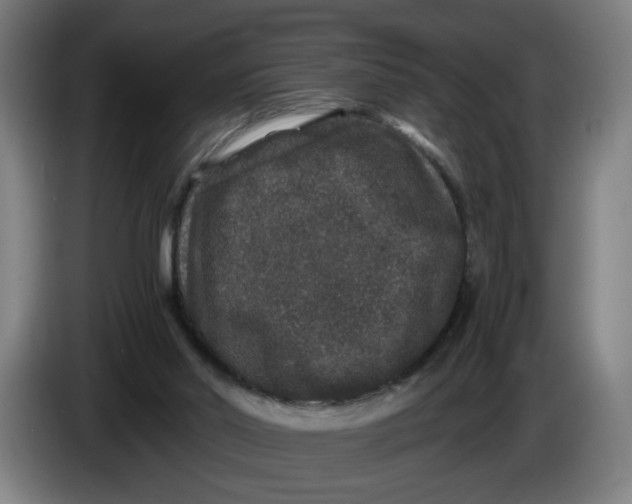 X0000086260014200704191913