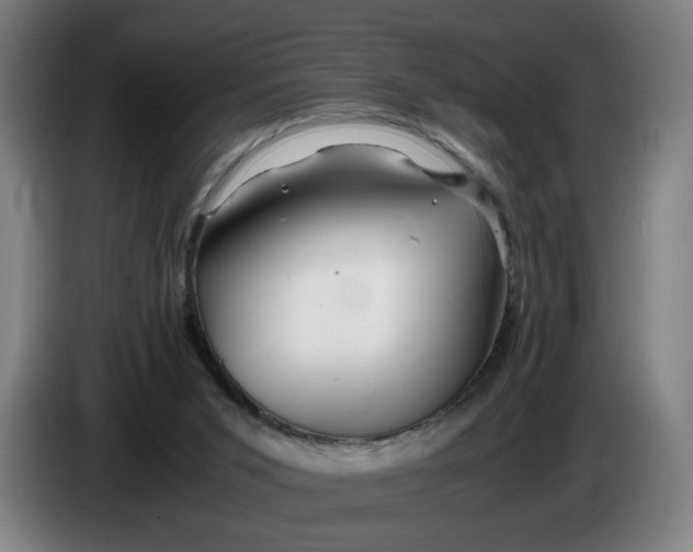 X0000086260015200704191913
