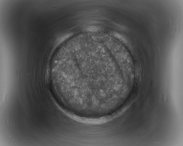 X0000086260016200704191913