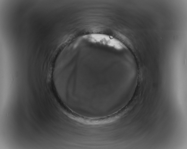 X0000086260018200704191913