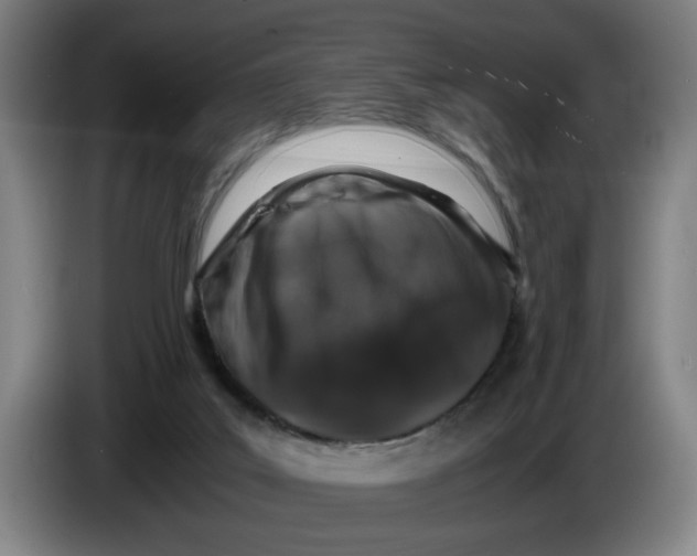 X0000086260019200704191913