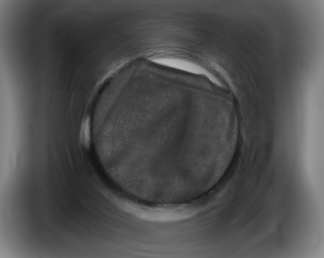 X0000086260020200704191913