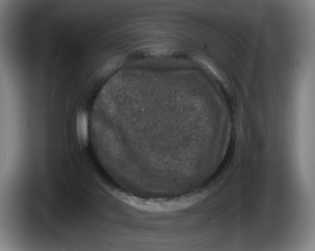 X0000086260022200704191913