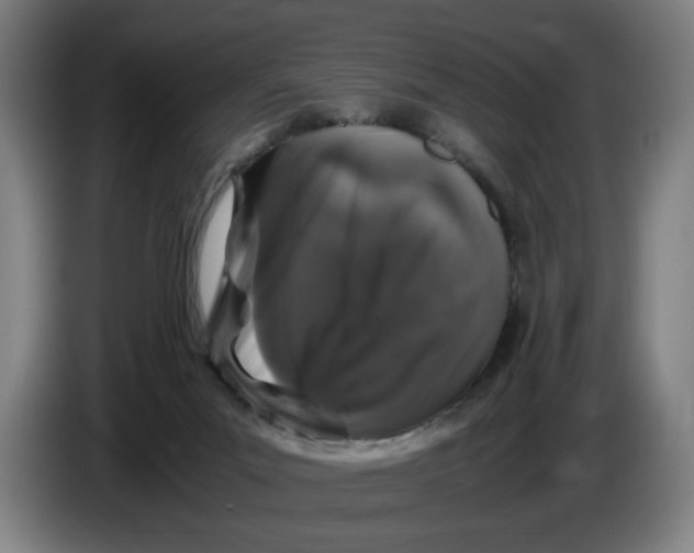 X0000086260023200704191913