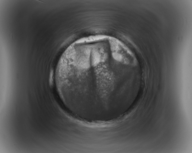 X0000086260024200704191913
