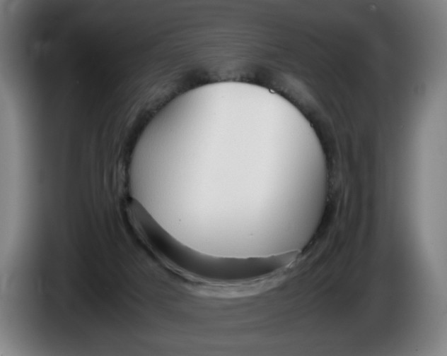 X0000086260025200704191913