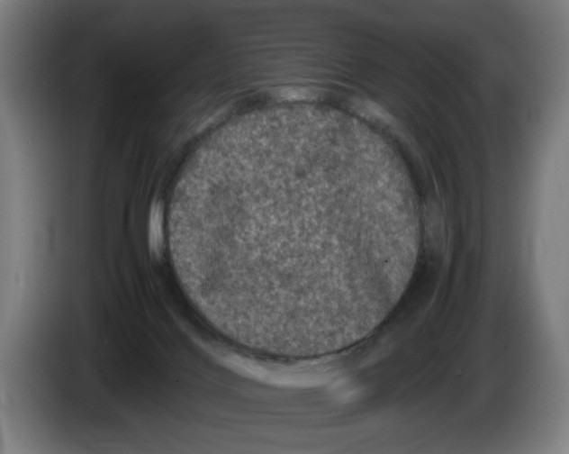 X0000086260028200704191913