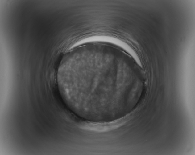 X0000086260029200704191913