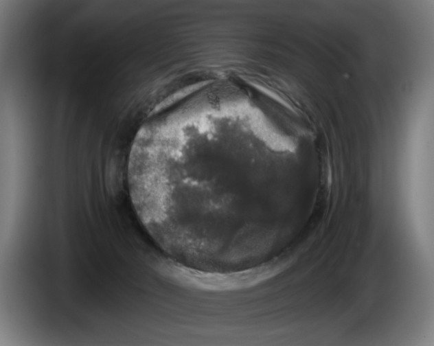 X0000086260030200704191913