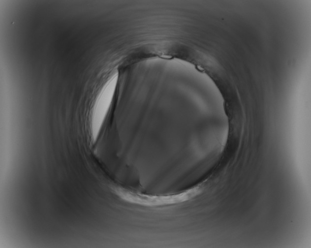 X0000086260031200704191913