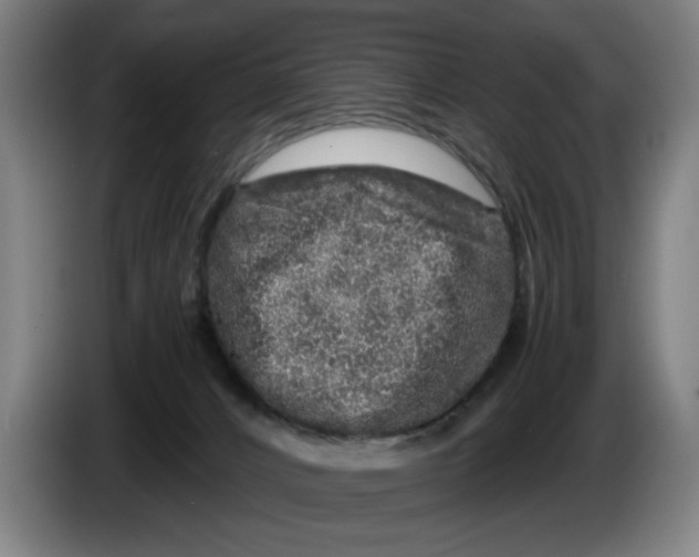 X0000086260032200704191913