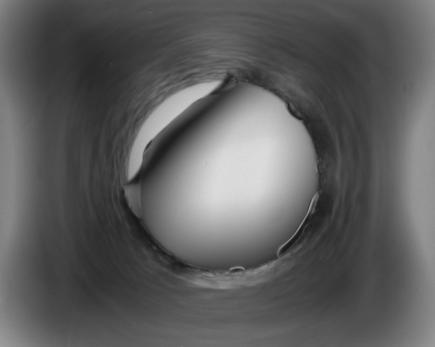 X0000086260033200704191913