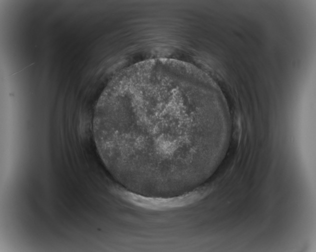 X0000086260034200704191913