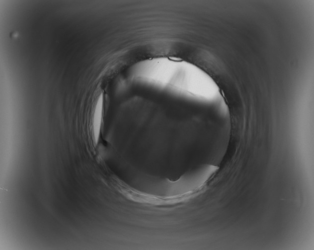 X0000086260035200704191913