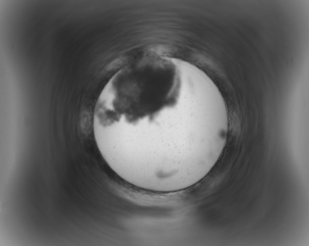 X0000086260036200704191913
