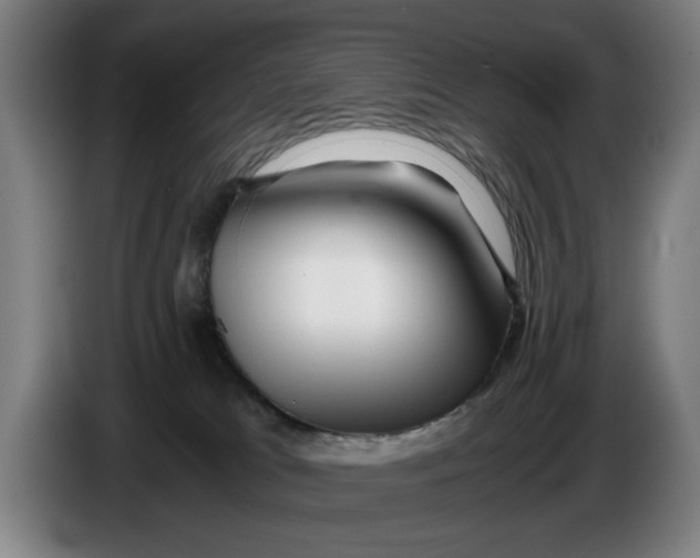 X0000086260037200704191913