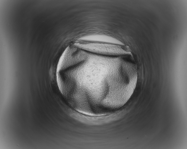 X0000086260038200704191913