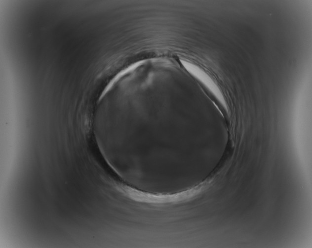 X0000086260039200704191913