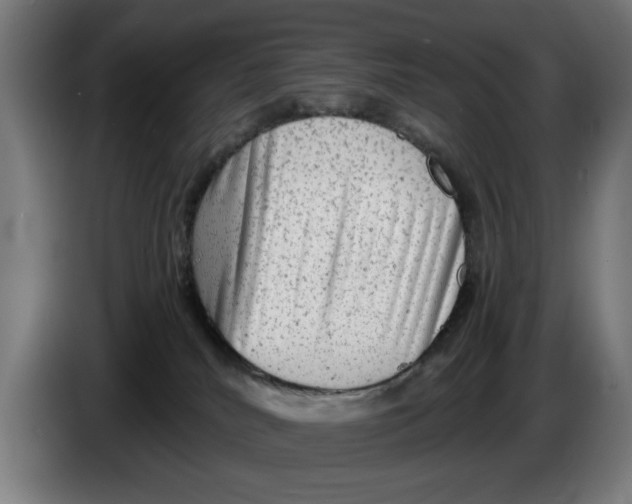 X0000086260040200704191913