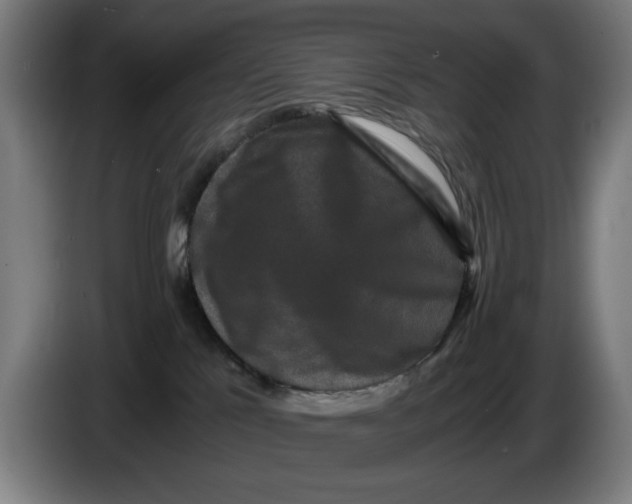 X0000086260041200704191913